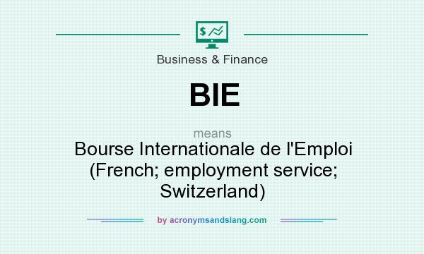 What does BIE mean? It stands for Bourse Internationale de l`Emploi (French; employment service; Switzerland)