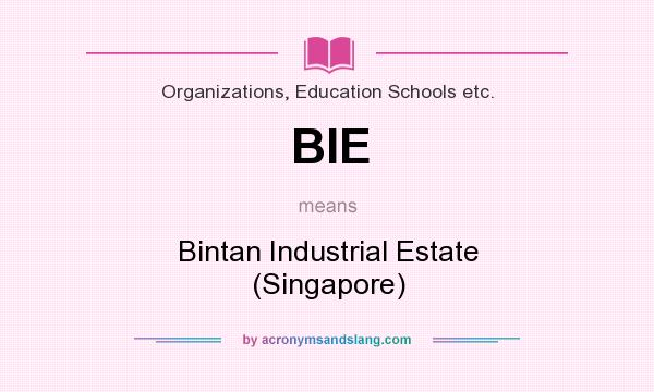What does BIE mean? It stands for Bintan Industrial Estate (Singapore)