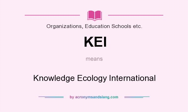 What does KEI mean? It stands for Knowledge Ecology International