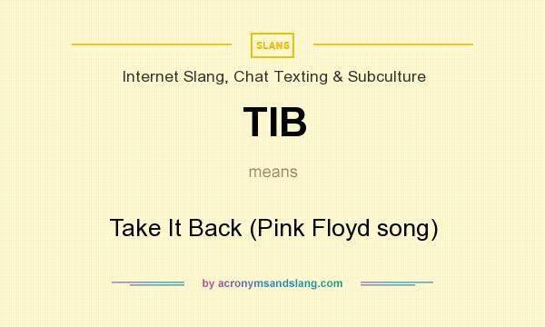 What does TIB mean? It stands for Take It Back (Pink Floyd song)