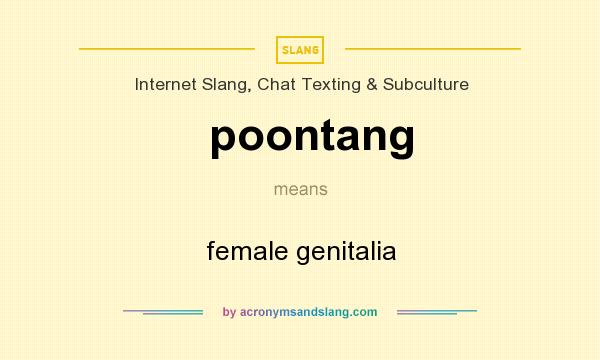 What does poontang mean? It stands for female genitalia