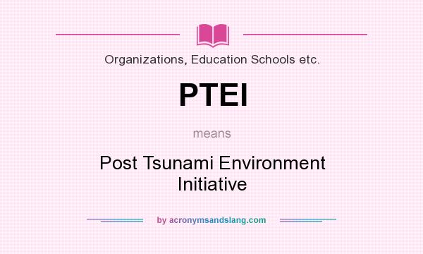 What does PTEI mean? It stands for Post Tsunami Environment Initiative