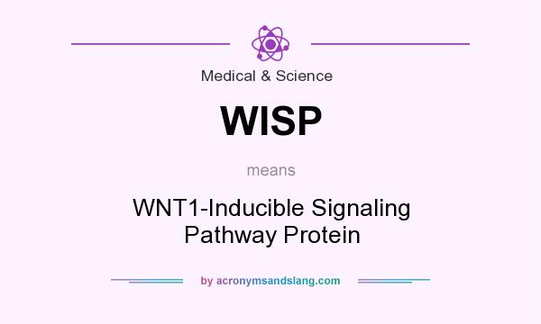 What does WISP mean? It stands for WNT1-Inducible Signaling Pathway Protein