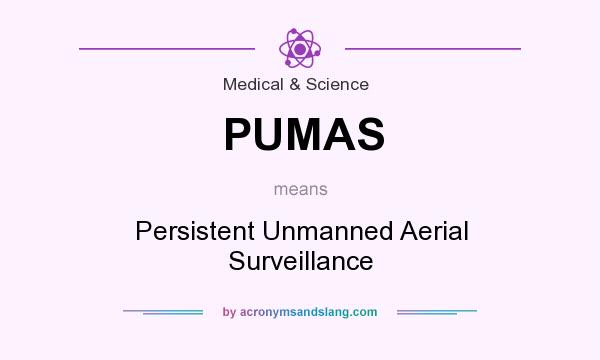 What does PUMAS mean? It stands for Persistent Unmanned Aerial Surveillance