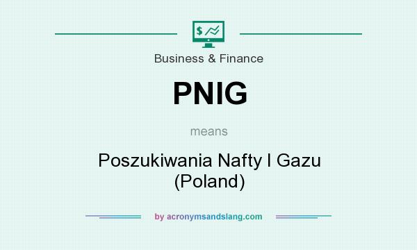 What does PNIG mean? It stands for Poszukiwania Nafty I Gazu (Poland)