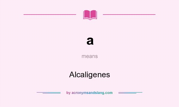 What does a mean? It stands for Alcaligenes