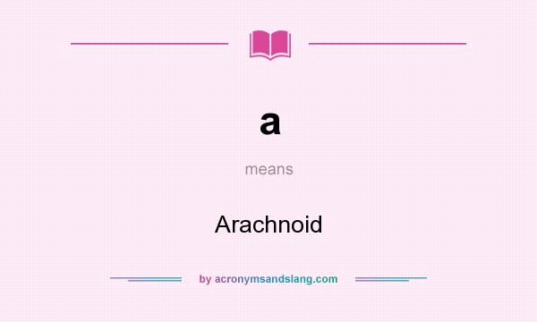 What does a mean? It stands for Arachnoid