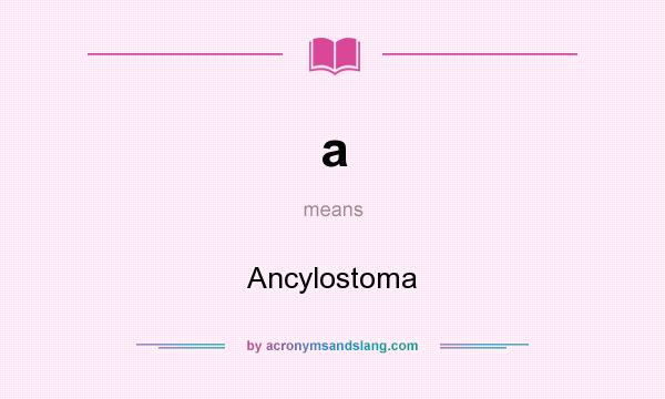 What does a mean? It stands for Ancylostoma