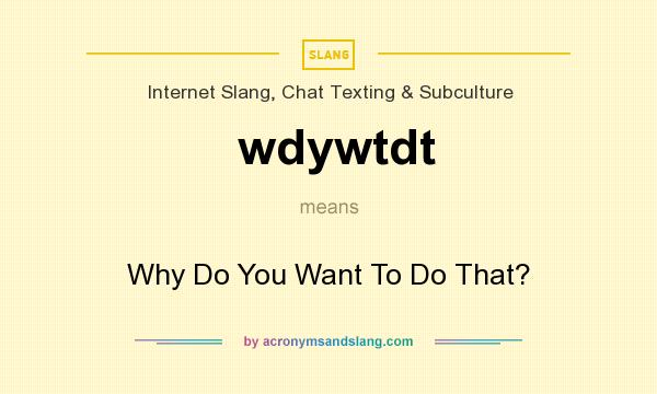 What does wdywtdt mean? It stands for Why Do You Want To Do That?