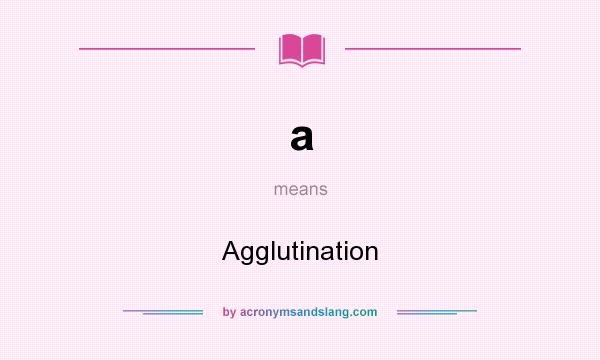 What does a mean? It stands for Agglutination