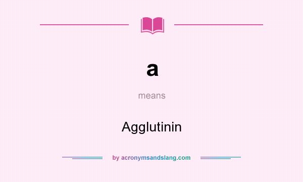 What does a mean? It stands for Agglutinin