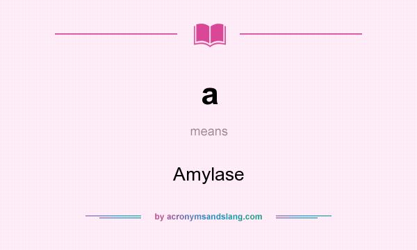 What does a mean? It stands for Amylase