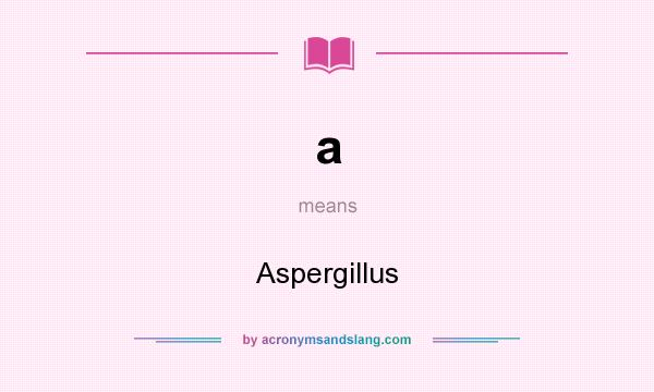 What does a mean? It stands for Aspergillus