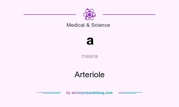 What does a mean? It stands for Arteriole