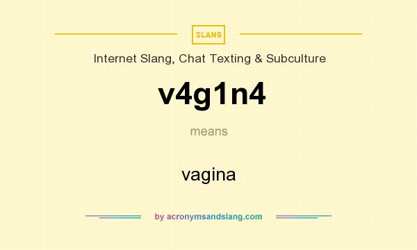 What does v4g1n4 mean? It stands for vagina