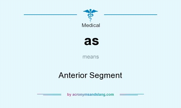 What does as mean? It stands for Anterior Segment