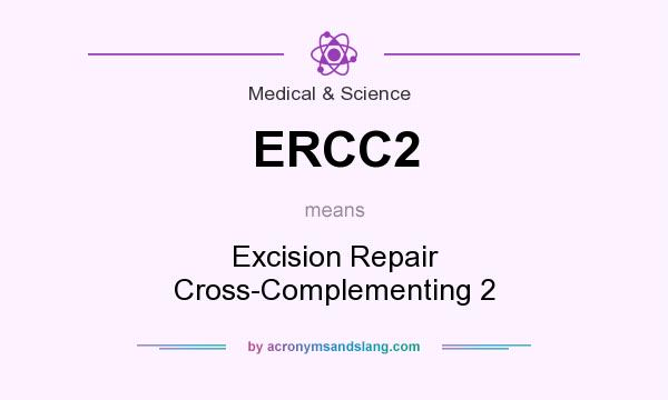 What does ERCC2 mean? It stands for Excision Repair Cross-Complementing 2