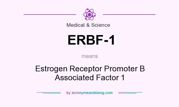 What does ERBF-1 mean? It stands for Estrogen Receptor Promoter B Associated Factor 1