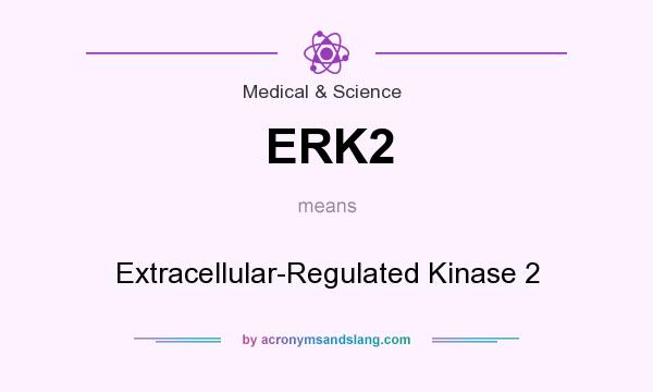 What does ERK2 mean? It stands for Extracellular-Regulated Kinase 2