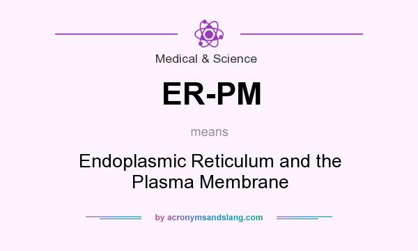 What does ER-PM mean? It stands for Endoplasmic Reticulum and the Plasma Membrane