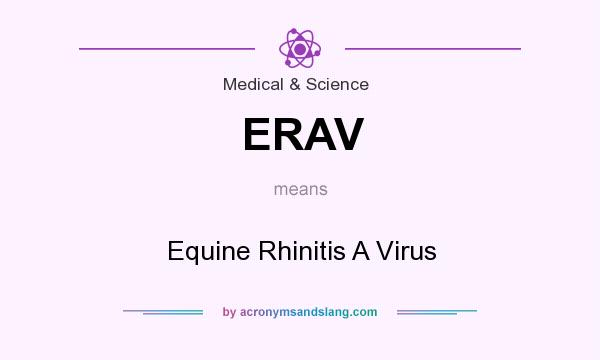 What does ERAV mean? It stands for Equine Rhinitis A Virus