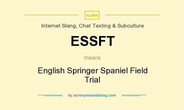 What does ESSFT mean? It stands for English Springer Spaniel Field Trial