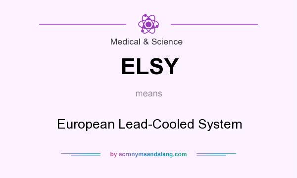 What does ELSY mean? It stands for European Lead-Cooled System