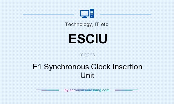 What does ESCIU mean? It stands for E1 Synchronous Clock Insertion Unit