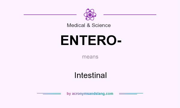 What does ENTERO- mean? It stands for Intestinal