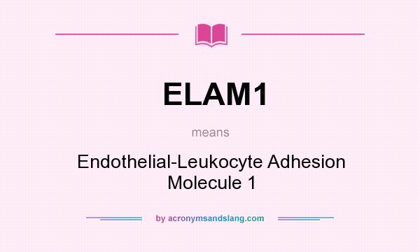 What does ELAM1 mean? It stands for Endothelial-Leukocyte Adhesion Molecule 1