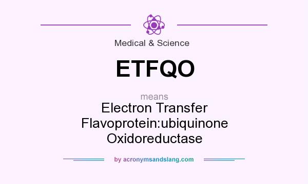 What does ETFQO mean? It stands for Electron Transfer Flavoprotein:ubiquinone Oxidoreductase