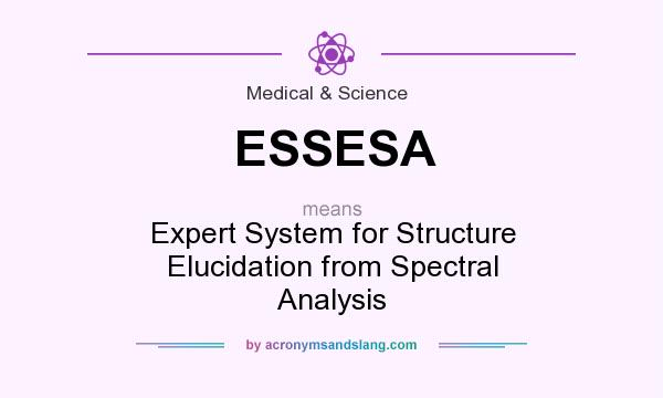 What does ESSESA mean? It stands for Expert System for Structure Elucidation from Spectral Analysis