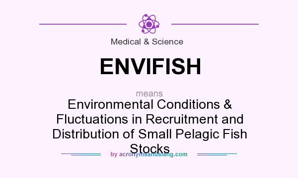 What does ENVIFISH mean? It stands for Environmental Conditions & Fluctuations in Recruitment and Distribution of Small Pelagic Fish Stocks
