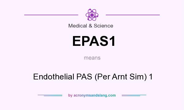 What does EPAS1 mean? It stands for Endothelial PAS (Per Arnt Sim) 1