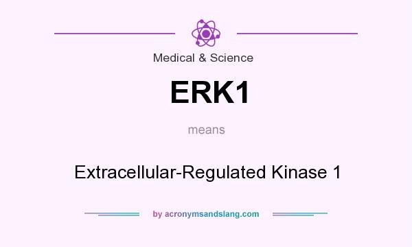 What does ERK1 mean? It stands for Extracellular-Regulated Kinase 1
