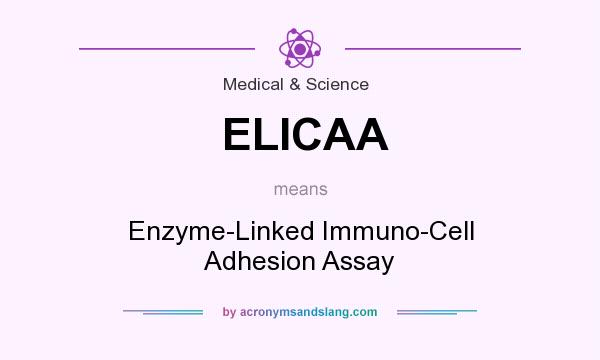 What does ELICAA mean? It stands for Enzyme-Linked Immuno-Cell Adhesion Assay