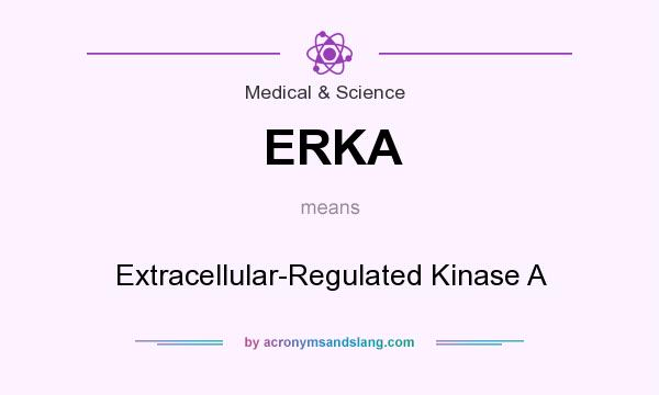 What does ERKA mean? It stands for Extracellular-Regulated Kinase A