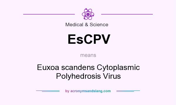 What does EsCPV mean? It stands for Euxoa scandens Cytoplasmic Polyhedrosis Virus