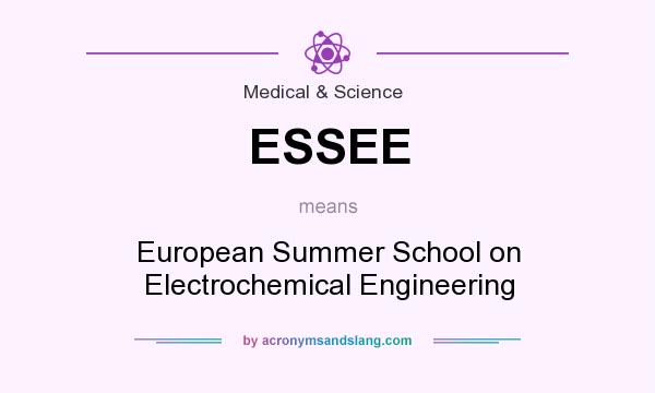 What does ESSEE mean? It stands for European Summer School on Electrochemical Engineering