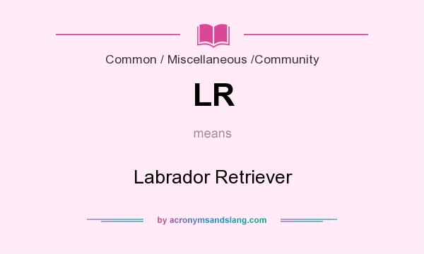 What does LR mean? It stands for Labrador Retriever
