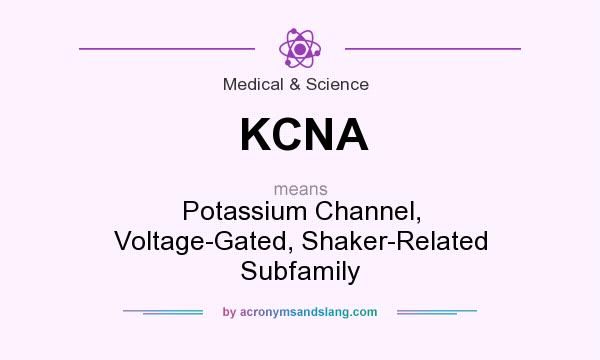 What does KCNA mean? It stands for Potassium Channel, Voltage-Gated, Shaker-Related Subfamily