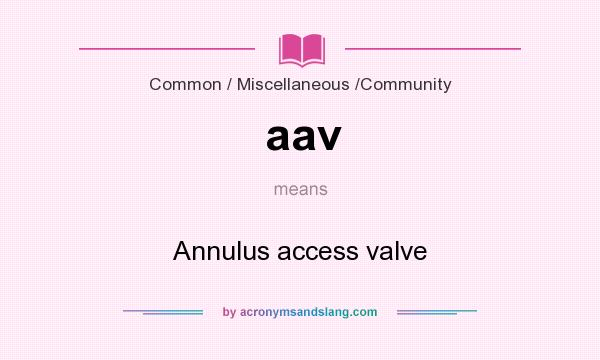 What does aav mean? It stands for Annulus access valve