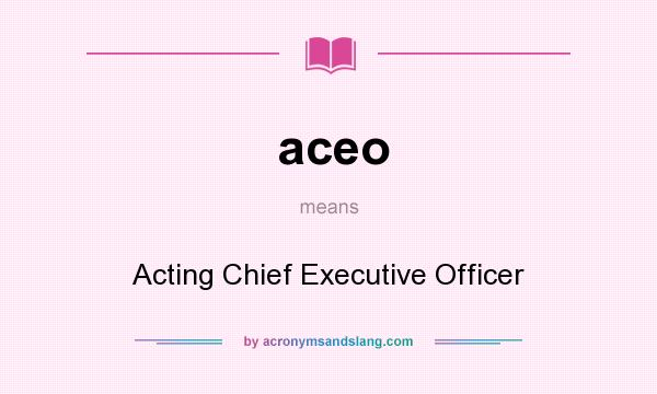 What does aceo mean? It stands for Acting Chief Executive Officer
