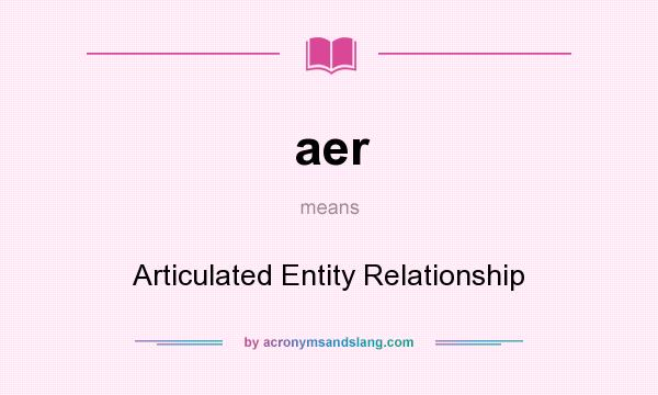 What does aer mean? It stands for Articulated Entity Relationship