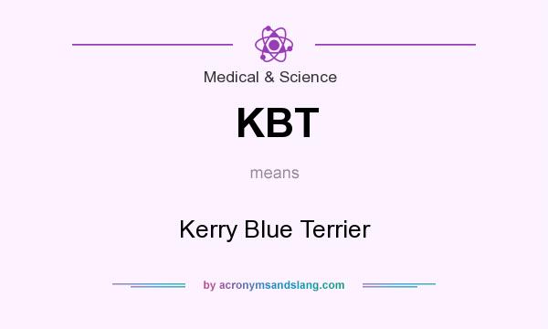 What does KBT mean? It stands for Kerry Blue Terrier
