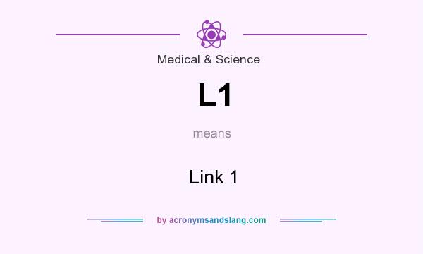 What does L1 mean? It stands for Link 1