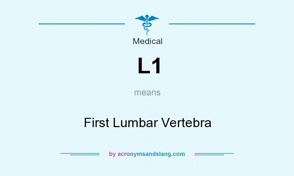 What does L1 mean? It stands for First Lumbar Vertebra