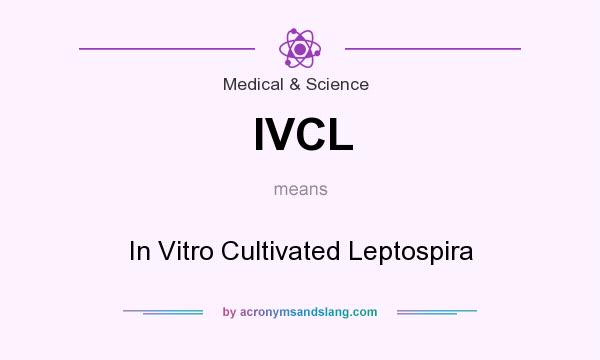 What does IVCL mean? It stands for In Vitro Cultivated Leptospira