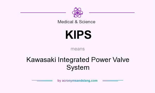 What does KIPS mean? It stands for Kawasaki Integrated Power Valve System