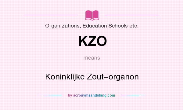 What does KZO mean? It stands for Koninklijke Zout–organon